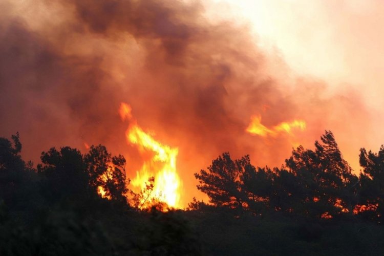 Manisa'daki orman yangınına meradan sı&ccedil;rayan alevler neden olmuş