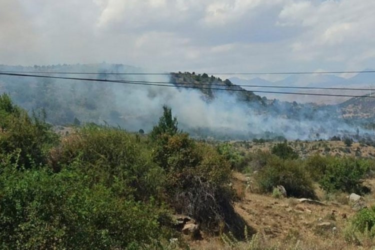 Kayseri'de ormanlık alanda &ccedil;ıkan yangına m&uuml;dahale ediliyor