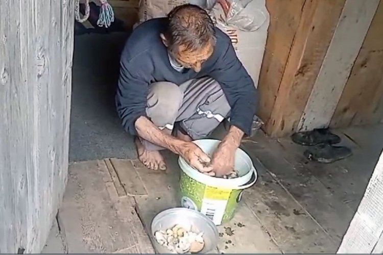 Giresun'da yağmurlar Yaylalarda mantar bereketini attırdı!