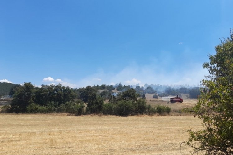 K&uuml;tahya'da arazi yangını
