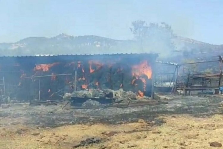 &Ccedil;anakkale'de tarım arazisinde yangın meydana geldi