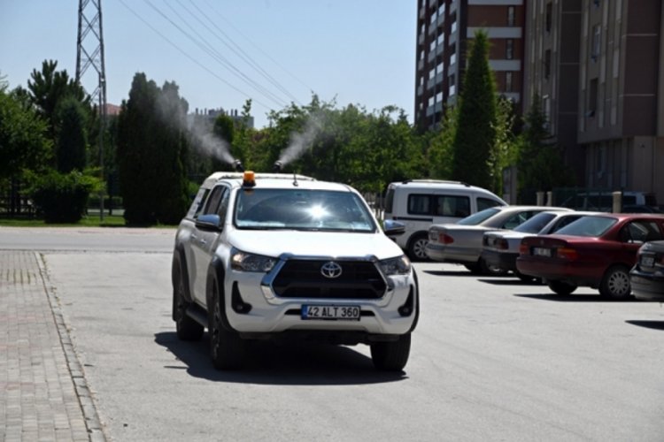 İzmir'de haşere istilasına yönelik ilaçlama  çalışması aralıksız devam ediyor