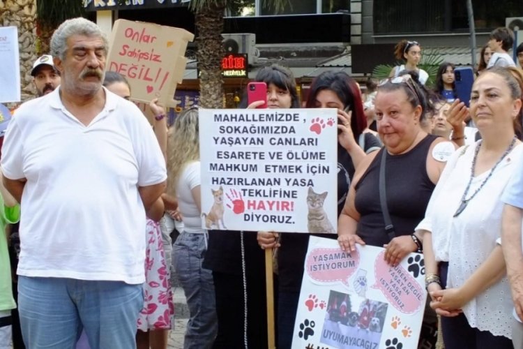 Balıkesir'den sokak hayvanları yasasına ses y&uuml;kseldi: Yasayı geri &ccedil;ekin