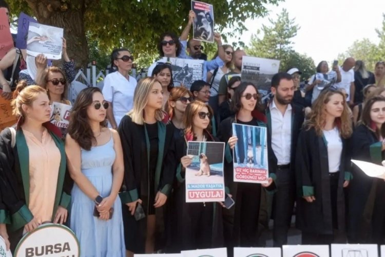 Hukuk&ccedil;u Ali Dokuzlu: Pop&uuml;list avantaj sağlamaya &ccedil;alışıyorlar