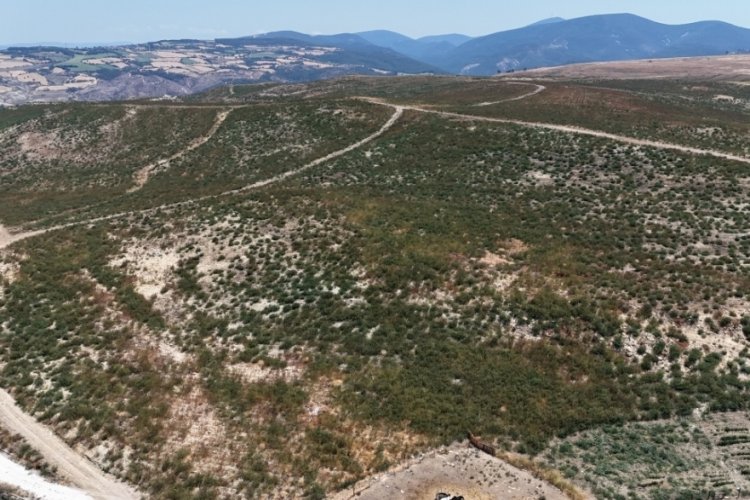 &Ccedil;anakkale'de alev topuna d&ouml;nen alanlar yeniden yeşerdi!