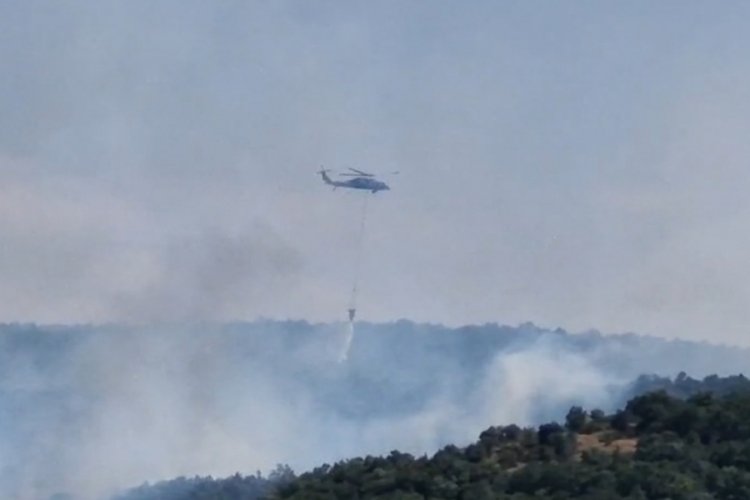 Bursa'da ormanlık alanda çıkan yangın kontrol altına alındı