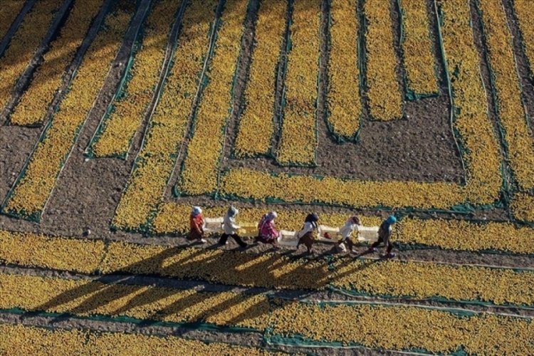 Tarımsal girdi fiyat endeksi verileri a&ccedil;ıklandı!