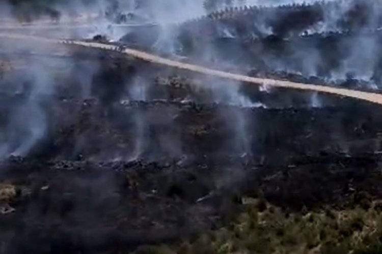 Antalya'da orman yangınının bilan&ccedil;osu belli oldu