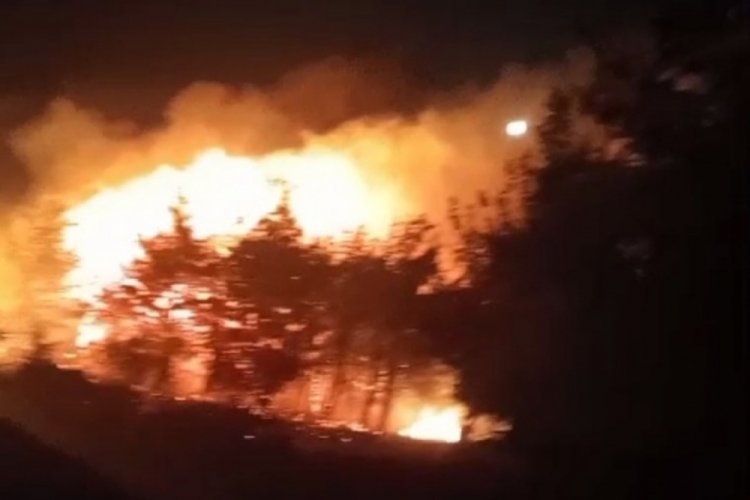 Balıkesir'de orman yangını: Ekipler m&uuml;dahale ediyor