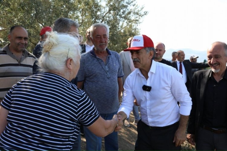Bursa'da &ouml;l&uuml;ms&uuml;z ağa&ccedil; suya kavuştu