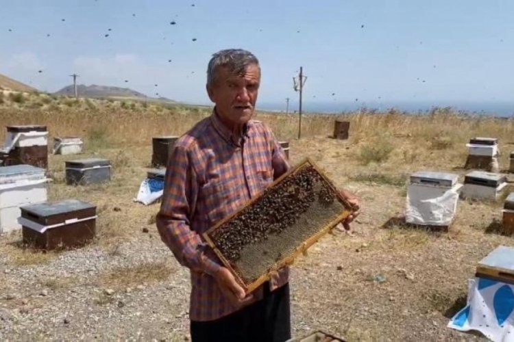 Bitlis'te bal sağımı