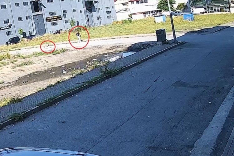 Bursa'da sokak k&ouml;peğinin saldırısından kadını kurtardı