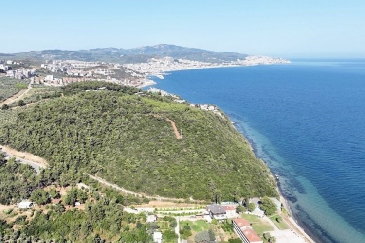 116 d&ouml;n&uuml;m deniz manzaralı ormana Mudanya Belediyesi talip oldu