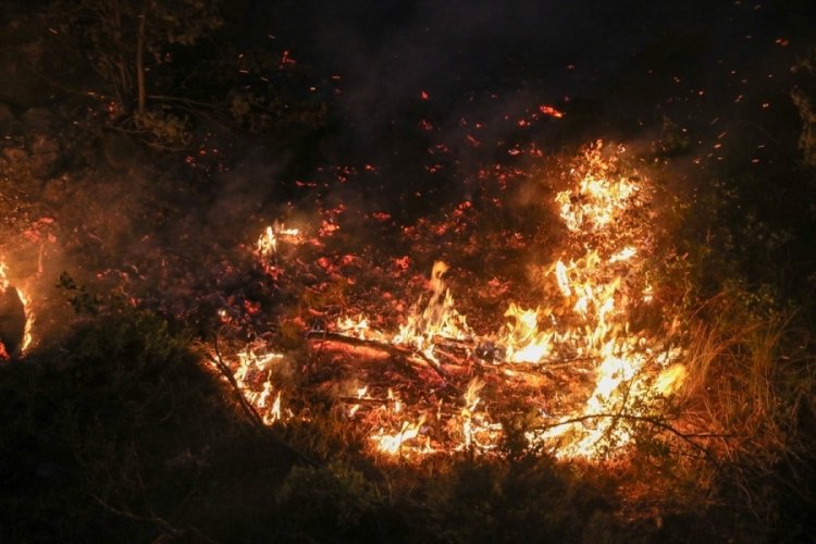 Uşak'ta 2 ayrı orman yangınına m&uuml;dahale s&uuml;r&uuml;yor