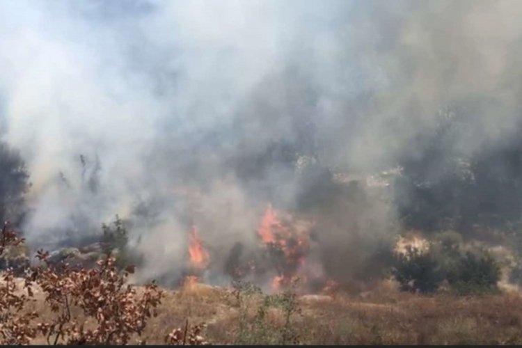 Osmaniye'de &ccedil;ıkan yangın s&ouml;nd&uuml;r&uuml;ld&uuml;: Vicdanı olan bunu yapmaz
