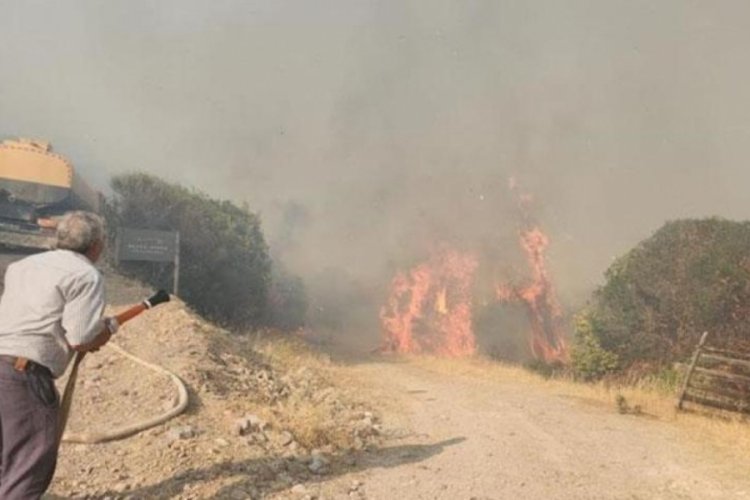 &Ccedil;anakkale r&uuml;zgar, yangını b&uuml;y&uuml;tt&uuml;!