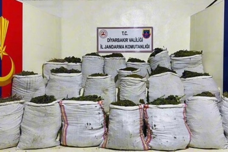 Diyarbakır'da 1 milyon 781 bin k&ouml;k kenevir ve 511 kilo esrar yakalandı