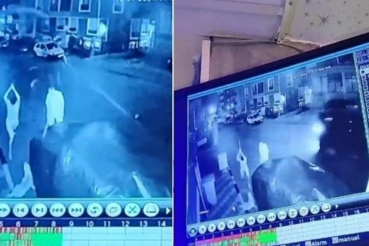 K&ouml;peğe sopalarla saldıran baba ve oğul serbest bırakıldı