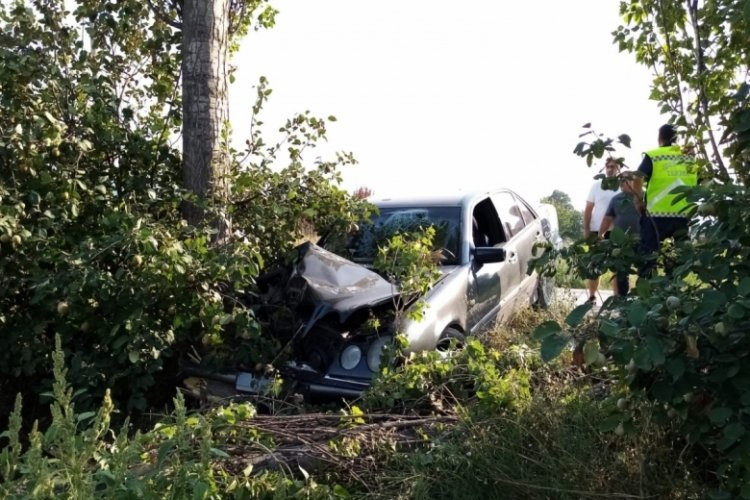 Bursa'da otomobil ağa&ccedil;lara &ccedil;arptı: 2 yaralı