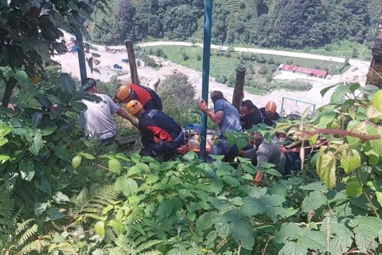 &Ccedil;ay toplayan vatandaş elektrik akımına kapıldı