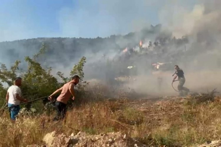 Bursa İznik'teki yangın kontrol altında!