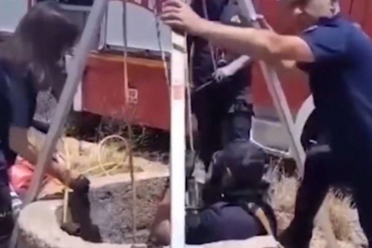 Kırıkkale'de 10 metrelik su kuyusuna d&uuml;şen kedi kurtarıldı