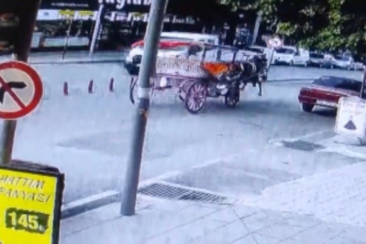 Burdur'da k&ouml;pekten &uuml;rken at nedeniyle 2 kişi yaralandı