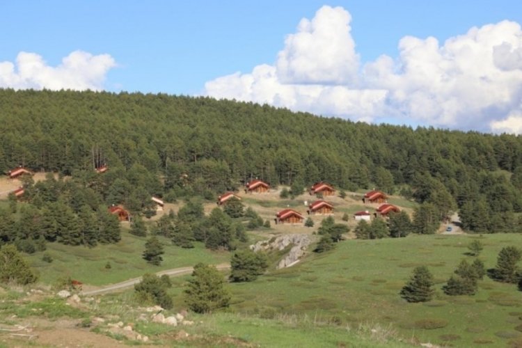 Erzincan'da yaz kış turistlerin tek adresi: Dumanlı Tabiat Parkı