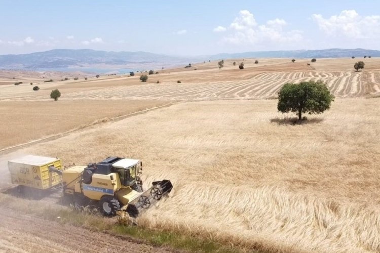 Yozgat'ta çiftçi ekmek derdinde leylekler ise karınlarını doyurma  peşinde!