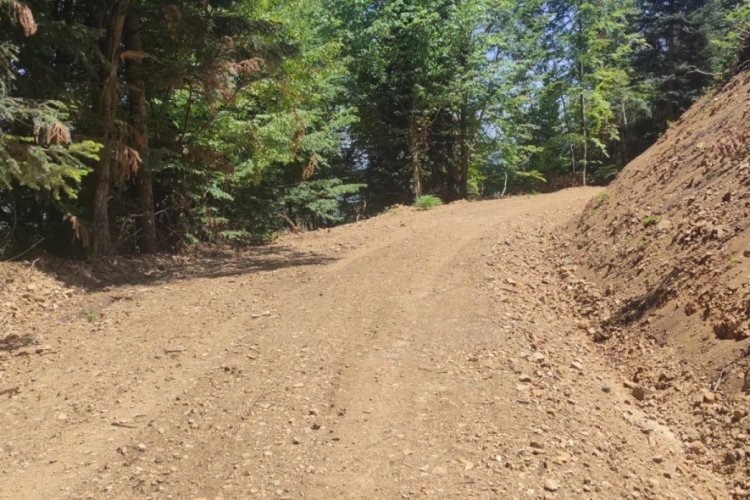 D&uuml;zce'de orman yolları estetik g&ouml;r&uuml;n&uuml;m&uuml;ne kavuştu!
