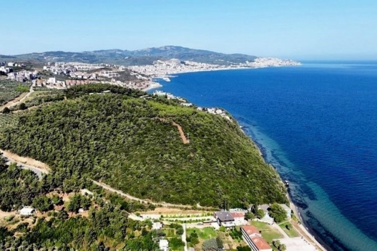 Bursa'da 116 d&ouml;n&uuml;m deniz manzaralı orman ihalesine en y&uuml;ksek fiyat &ouml;zel sekt&ouml;rden