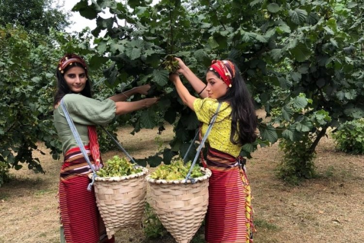Fındık iş&ccedil;isinin yevmiyesi belli oldu!