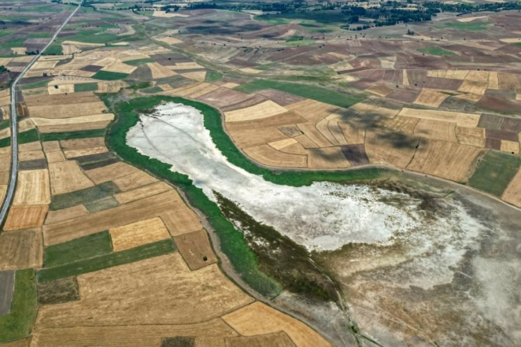 Tokat'ta kamış gölü kurudu:Sivrisinek istalasına uğradı!