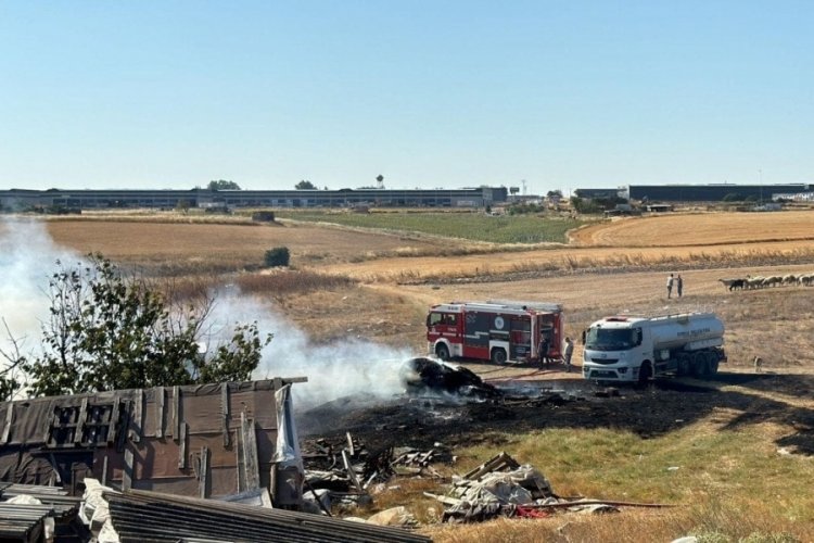 Tekirdağ'da yangın: 500 d&ouml;n&uuml;m alan zarar g&ouml;rd&uuml;