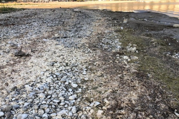 Isparta'da  tehlike &ccedil;anları &ccedil;alıyor: Eğirdir G&ouml;l&uuml; &ouml;l&uuml;yor