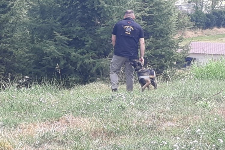 Kadavra k&ouml;peği Zeyna, kayıp kadınının cansız bedenini buldu