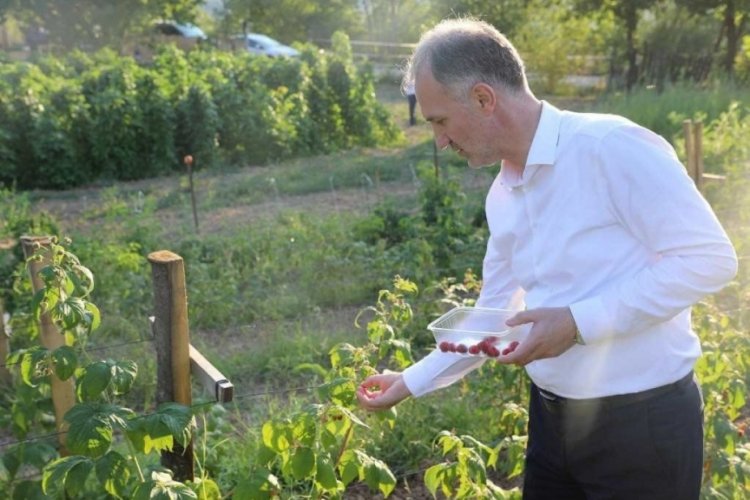 İneg&ouml;l Belediyesi &uuml;cretsiz toprak analizlerine devam ediyor