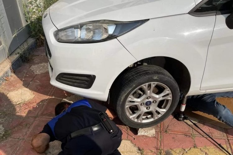 Bursa'da motor i&ccedil;ine sıkışan yavru kedi kurtarılıp koruma altına alındı&nbsp;