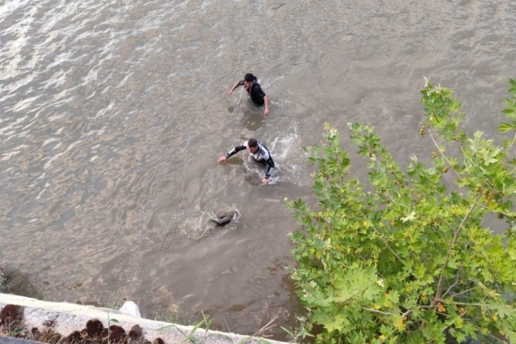 Amasya'da karabatak kuşun gagasına olta takıldı: dalgı&ccedil;lar imdadına yetişti!
