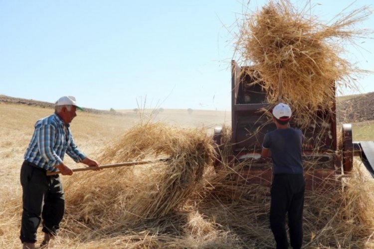 36 derece sıcakta kışlık yem m&uuml;cadelesi