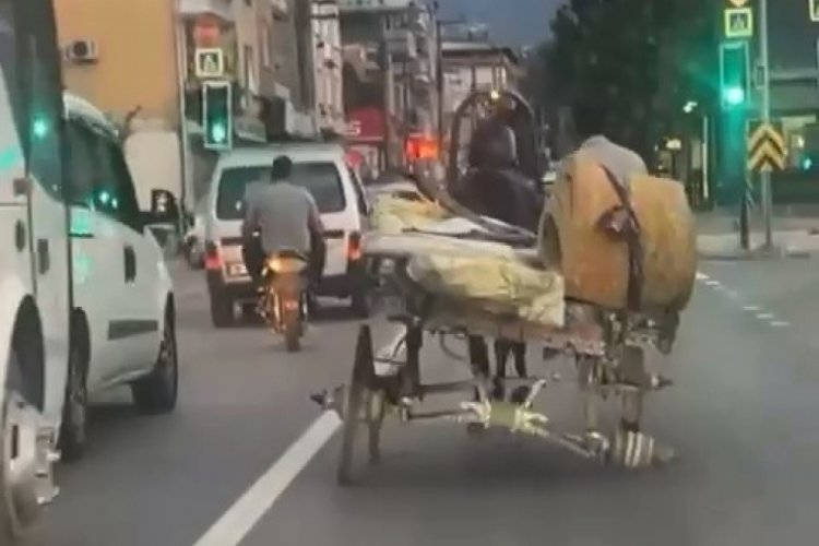 Bursa'da trafikte at arabası tehlikesi