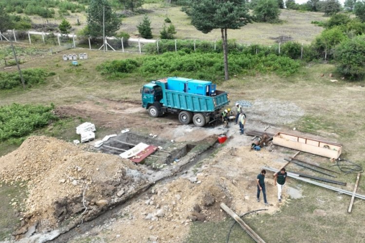 Samsun'da  yeraltı sondaj kuyusu geyiklerin su kaynağı oldu!