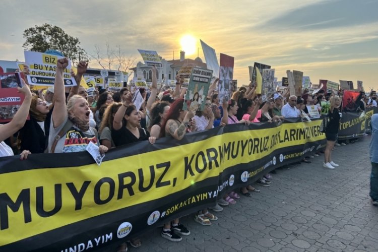 Hayvan hakları savunucuları: Biz bu yasayı durdurabiliriz!