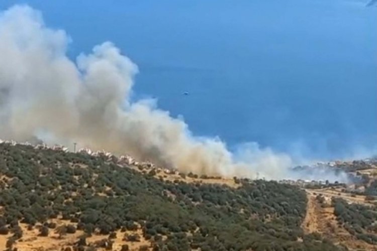 İzmir'de orman yangını: Bir site tahliye edildi