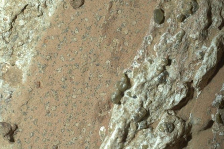 NASA son dakika duyurdu! Mars'ta yaşam belirtileri bulundu
