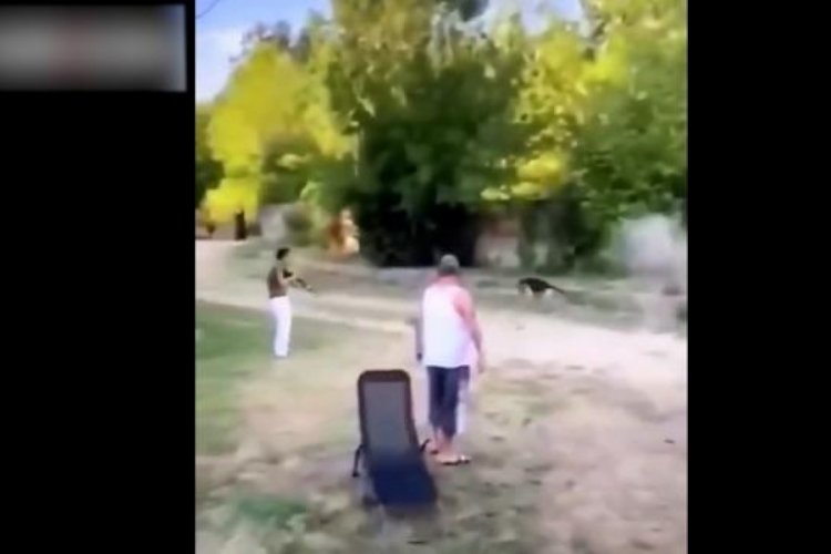 Almanya'dan gelen gurbet&ccedil;i, kedisine saldırdığını iddia ettiği k&ouml;peği t&uuml;fekle vurdu
