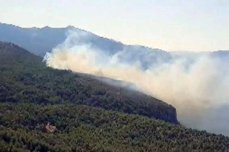Muğla'nın Milas il&ccedil;esinde orman yangını
