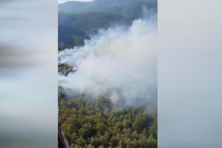 Muğla'da orman yangını: Ekipler alevlere m&uuml;dahale ediyor