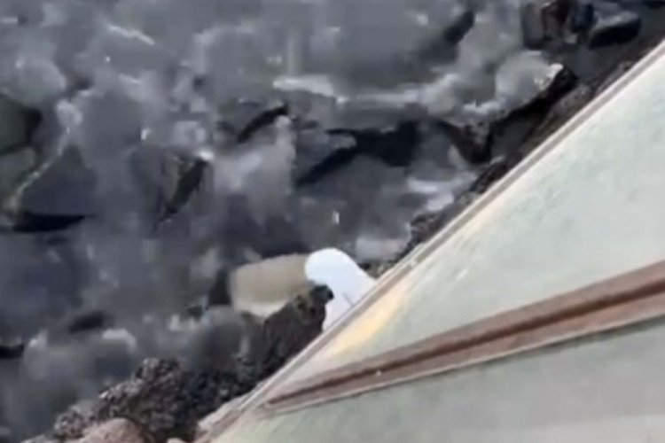 &Ccedil;anakkale Bozcaada Belediyesi'ne &ccedil;evre kirliliğinden 1 milyon 161 bin TL ceza