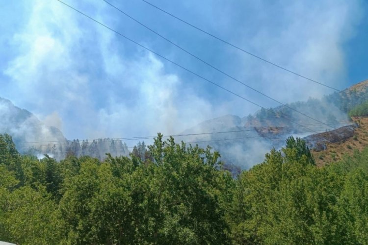 Kahramanmaraş'ta orman yangını